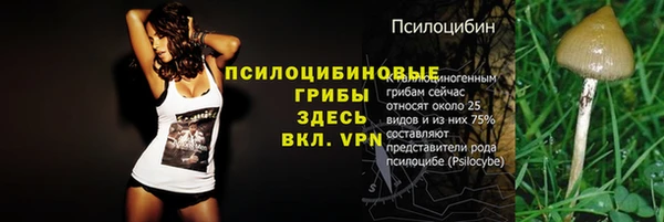 тгк Аркадак