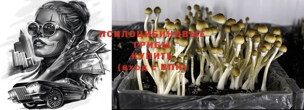 тгк Аркадак