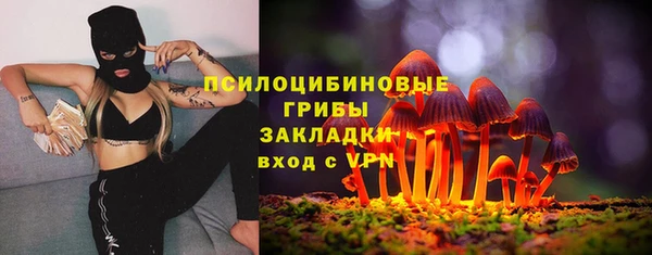 тгк Аркадак