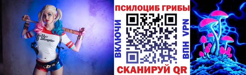Псилоцибиновые грибы мухоморы  KRAKEN ССЫЛКА  Моздок 
